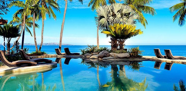 a pool with palm trees and chairs
