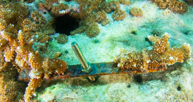 a bolt and a piece of metal under water