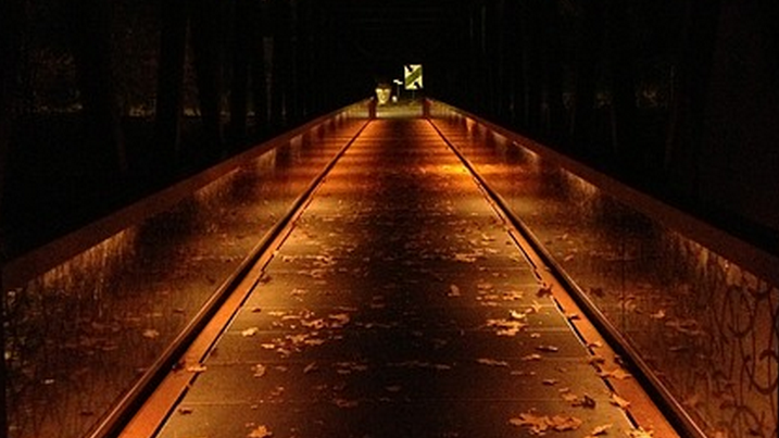 a walkway with lights on
