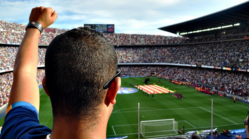 a man in a stadium watching a football game